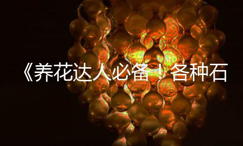 黄沙市场附近汕头美食、黄沙市场品种价格表、黄沙市场搬迁后的规划、盐城黄沙市场价格
