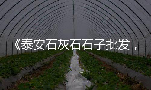 菏泽水泥地坪批发厂家、江苏水泥砖打包机批发、肇庆水泥路路侧石批发、水泥浮雕画板批发市场