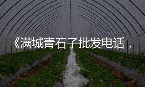 黄沙市场批发虾姑、黄沙市场长脚蟹多少钱一只、马面鱼批发一手货源广州黄沙市场、黄沙市场竹蛏批发价格表