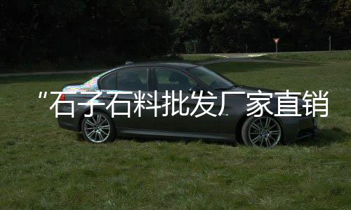 沙子水泥批发零售胶南、吴忠哪家零售白水泥最多、杭州钱塘区水泥黄沙批发零售、白水泥零售利润率