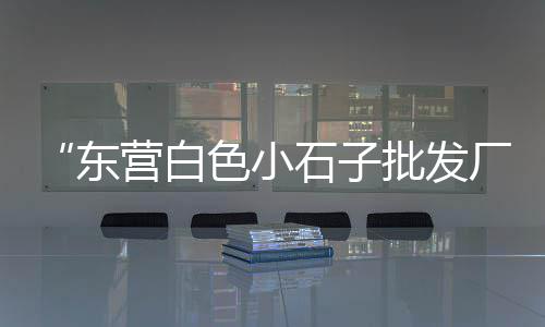杨柳青石子零售商在哪、零售黄沙石子水泥价格多少、广元沙子石子零售店地址、濮阳石子零售店地址电话