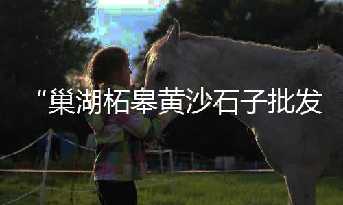 黄沙附近租房攻略价格、高州黄沙香猪价格行情、黄沙价格行情走势最新分析、黄沙石最新价格表图片