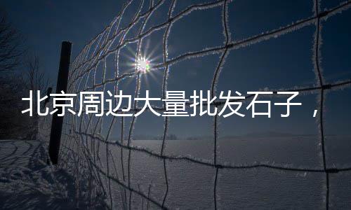 蒲城批发石子馍、绿色石子批发、乐平石子批发、德庆石子批发