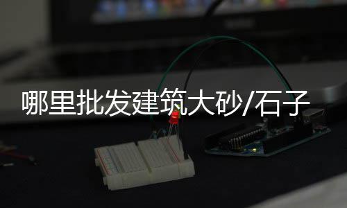 天津汉沽石子批发零售、濮阳石子零售店地址电话、新昌石子零售店地址查询、石子陶粒批发零售电话号码