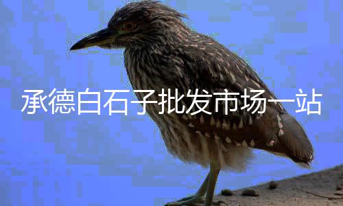 广西泊水石子价格、青岛彩色石子价格多少、漯河石子价格在哪查询、张集石子价格最新行情