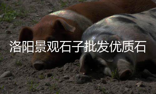 台湾水泥市场现状图示、兰州水泥花箱市场、新型水泥步道砖市场、襄阳水泥市场地址