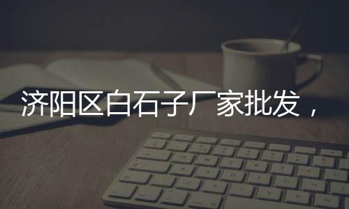 上海采购石子项目名单、上海景观石子厂家、上海哪里买景观白石子、上海常见石子仓价格查询