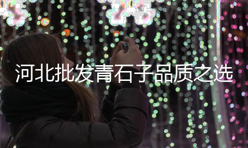 开发区碎石子采购价格、义乌石子沙子价格、淮南地区石子价格、铺装石子价格