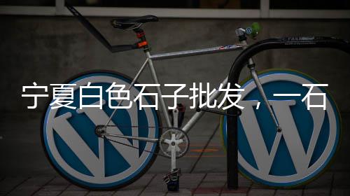 光大水泥批发店零售店地址、万年青水泥批发零售、淑静水泥零售店怎么样、襄城县大沙水泥零售店