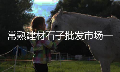 上海水泥立柱加工、上海水泥航母图片、上海水泥库清理、上海水泥围栏批发