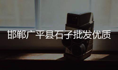 菲律宾进口石子价格、菏泽在生石子价格、杭州青石子价格、长沙砂子石子价格