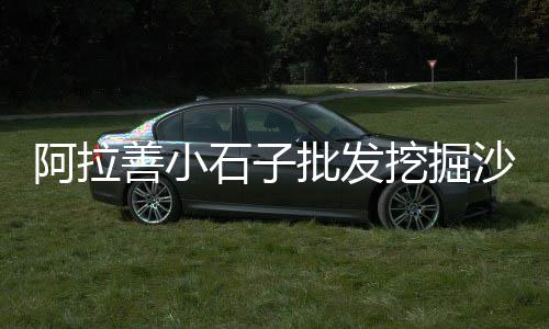 临朐水泥批发市场、水泥环保砖的市场、水泥瓦市场评估、南京水泥制品市场