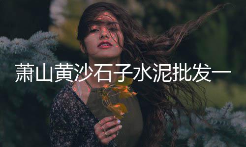 水泥市场崩盘了吗、惠安水泥拨发市场、非洲水泥市场前景、骆驼建材市场水泥