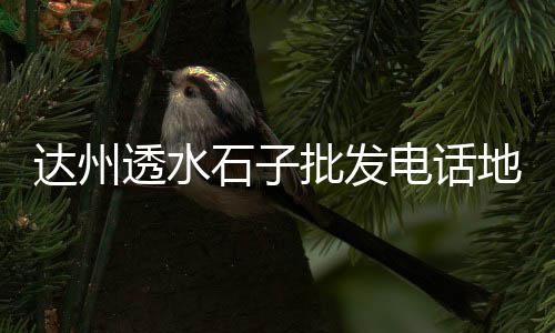 深圳制造检测石子价格、宝应石子价格行情、舞钢市石子价格、贵州石子价格表